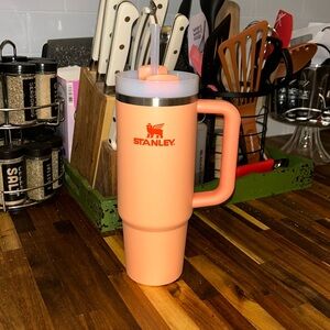 30oz STANLEY CUP